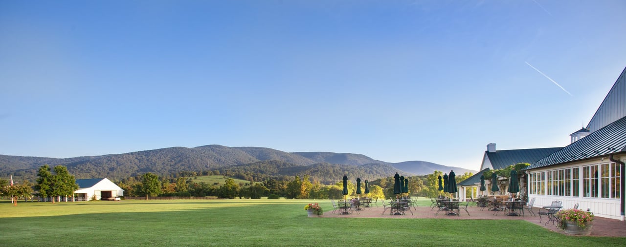 Your Perfect Day in Charlottesville – Noon