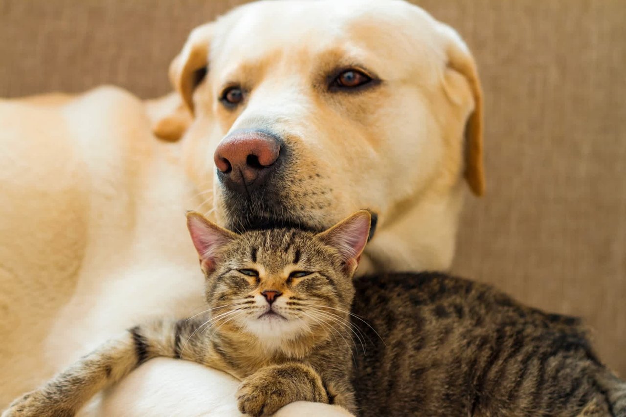 September 2022 | Issue No. 18