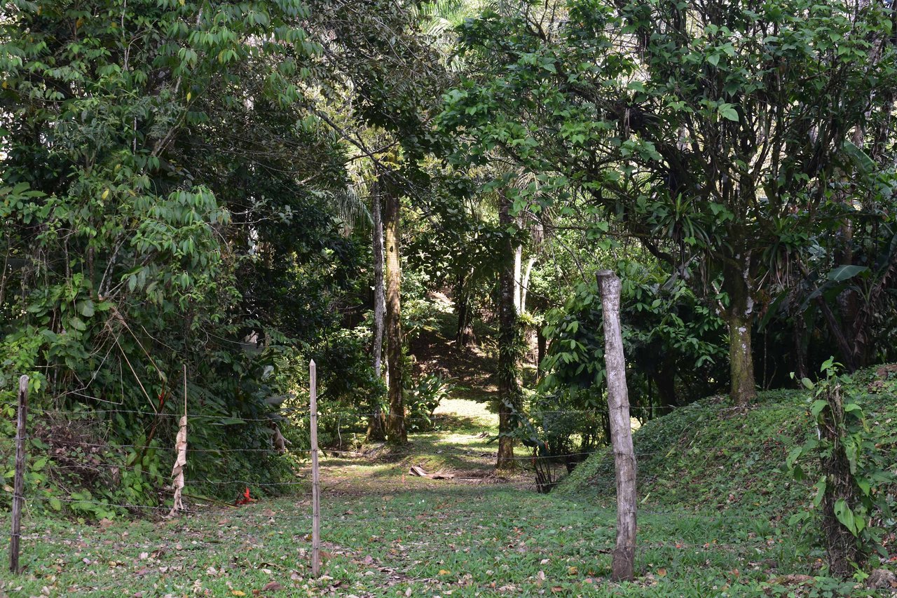 Finca La Paz | Scenic Property in Santo Domingo de Bijagua For Sale!