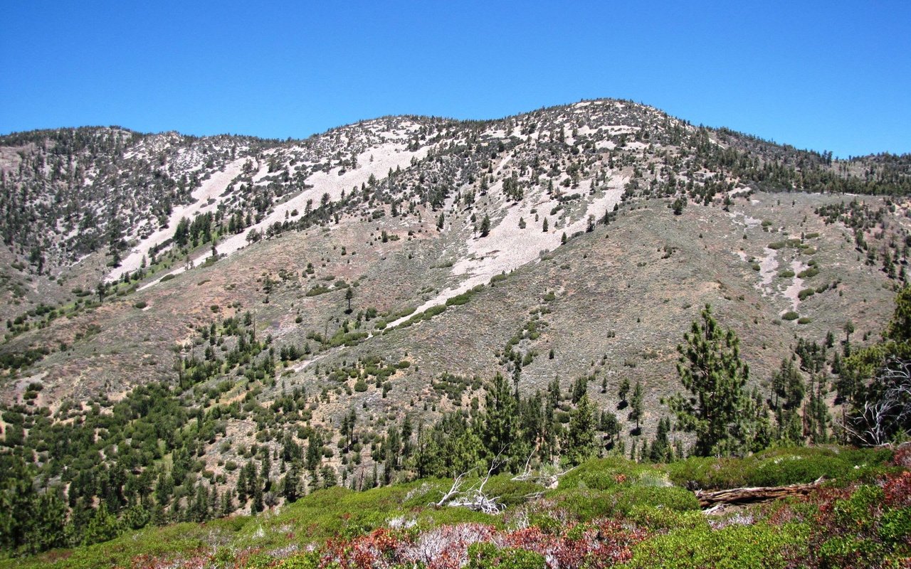 Sugarloaf