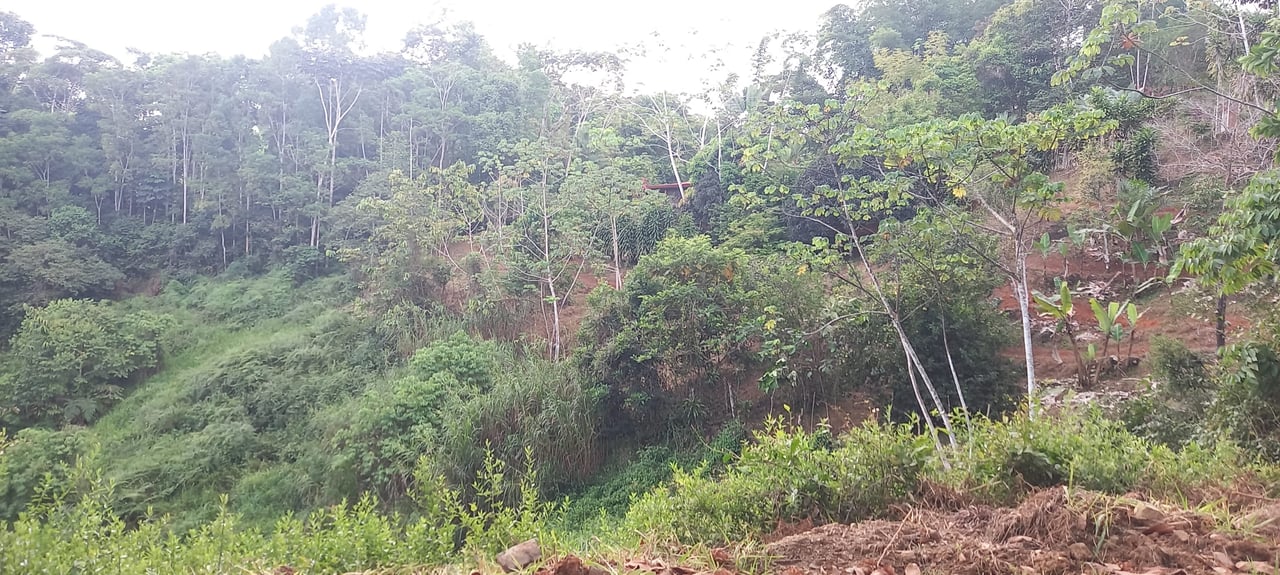 7.6 Acres Calle Camaron Platanillo