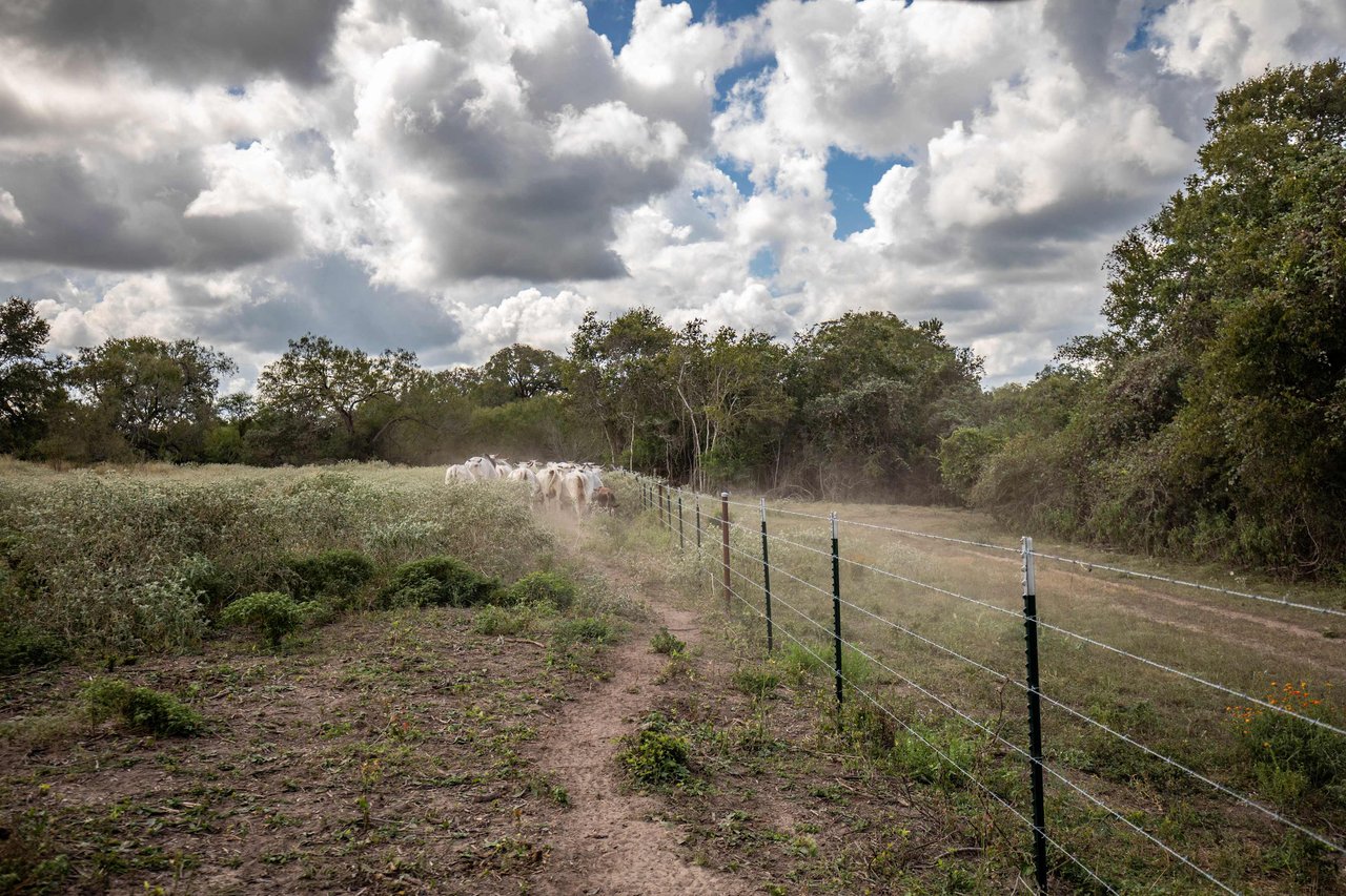 Lovers Lane River Ranch | 140± Acres | DeWitt County