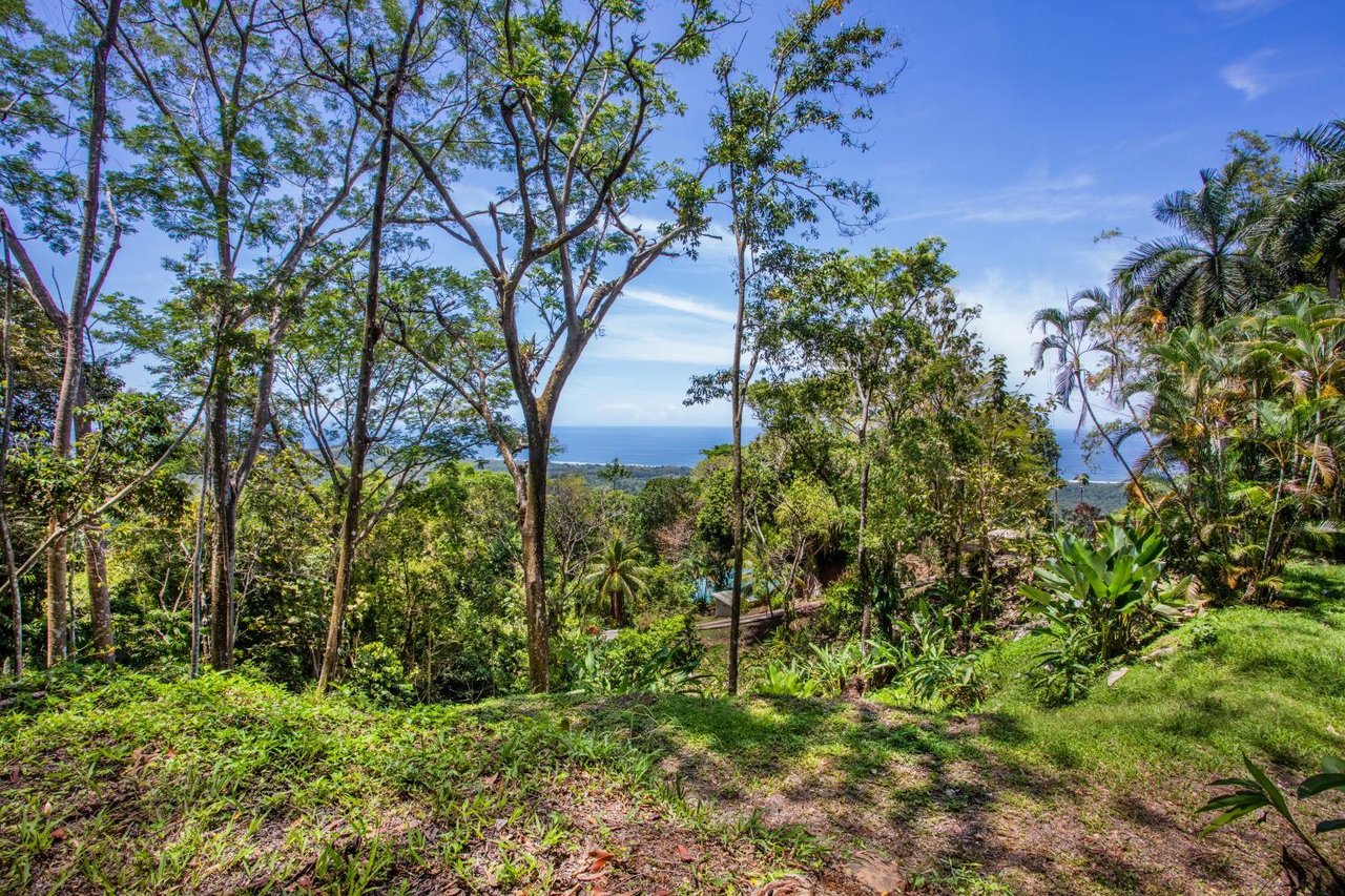 Incredible 7,000 Ft2 Ocean View Home With 200 Acre Reserve!