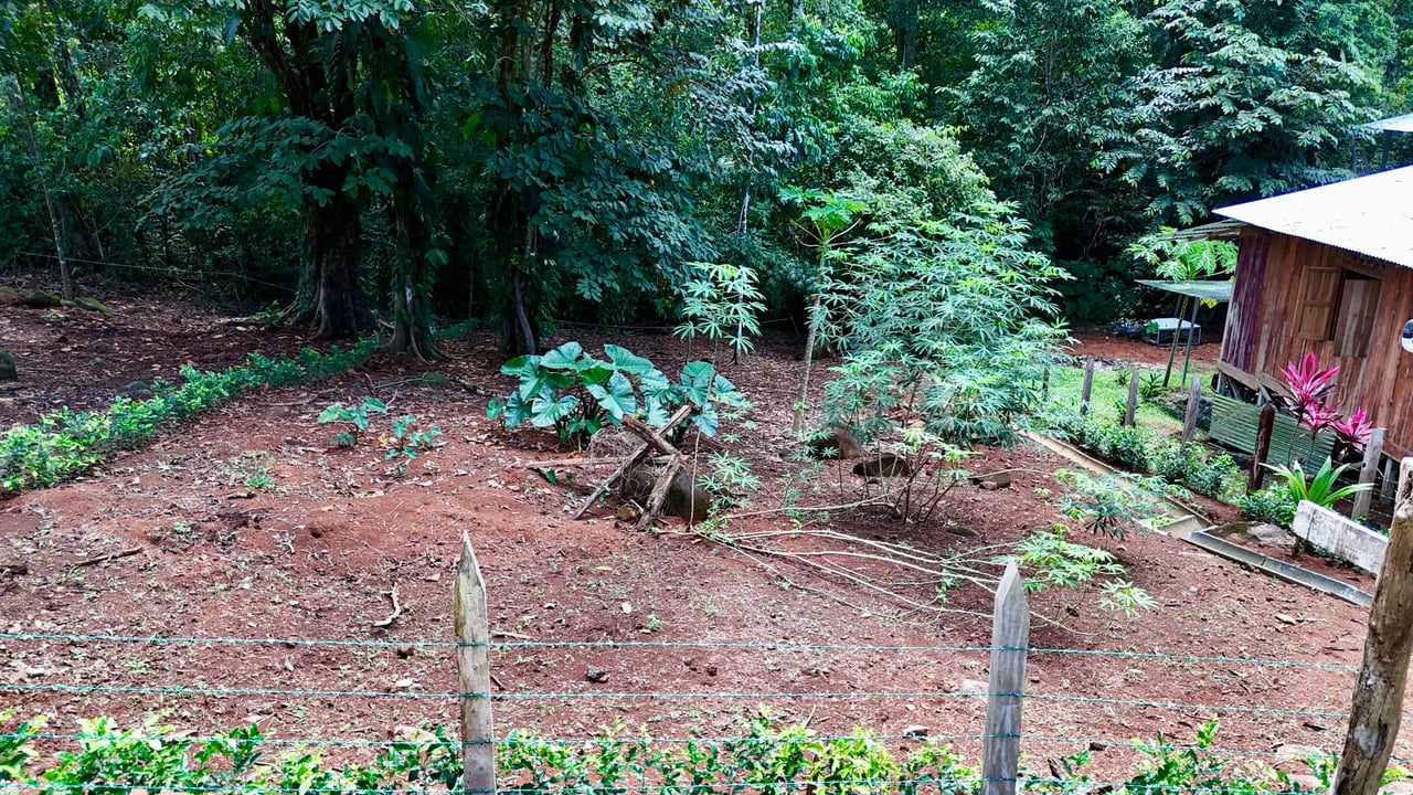 Jungle Side Lots in Uvita, Walking Distance to Amenities