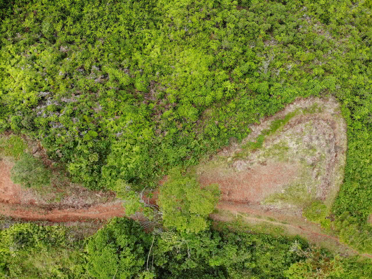 Sierpe Sunset and Jungle Views, 10 Acre Property, OSA!