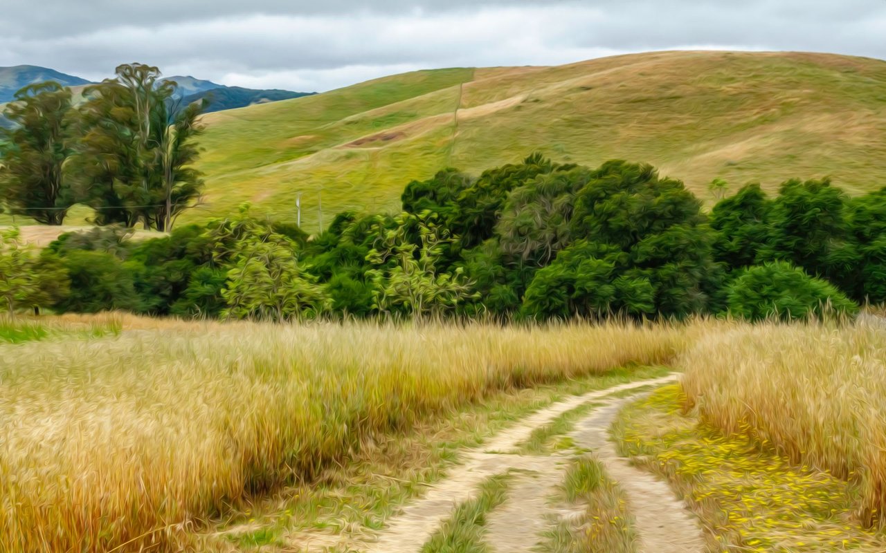 Petaluma