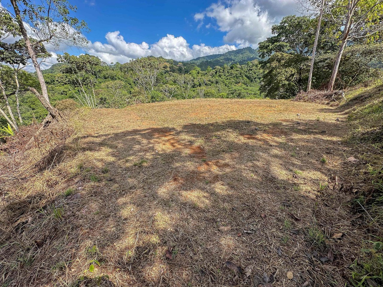 An elevated 1.2 acres lot with two plantels, panoramic mountain and jungle views.