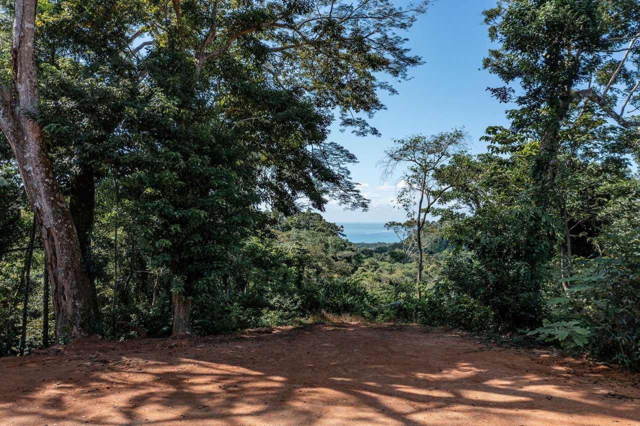 Secluded Ocean view Land in Dominical, Costa Rica