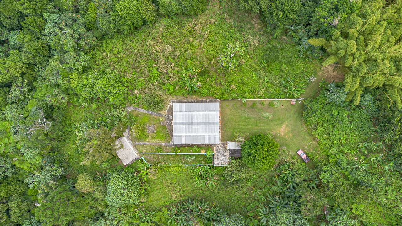 Jayuya with Airbnb  and Farming Potential