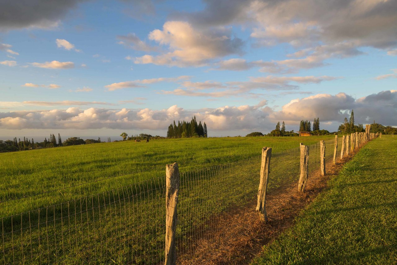 Blue Rock Ranch