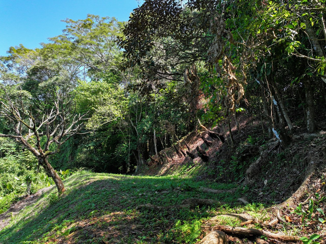 Unveil Paradise: Your Dream Homesite Awaits in Dominical, Costa Rica