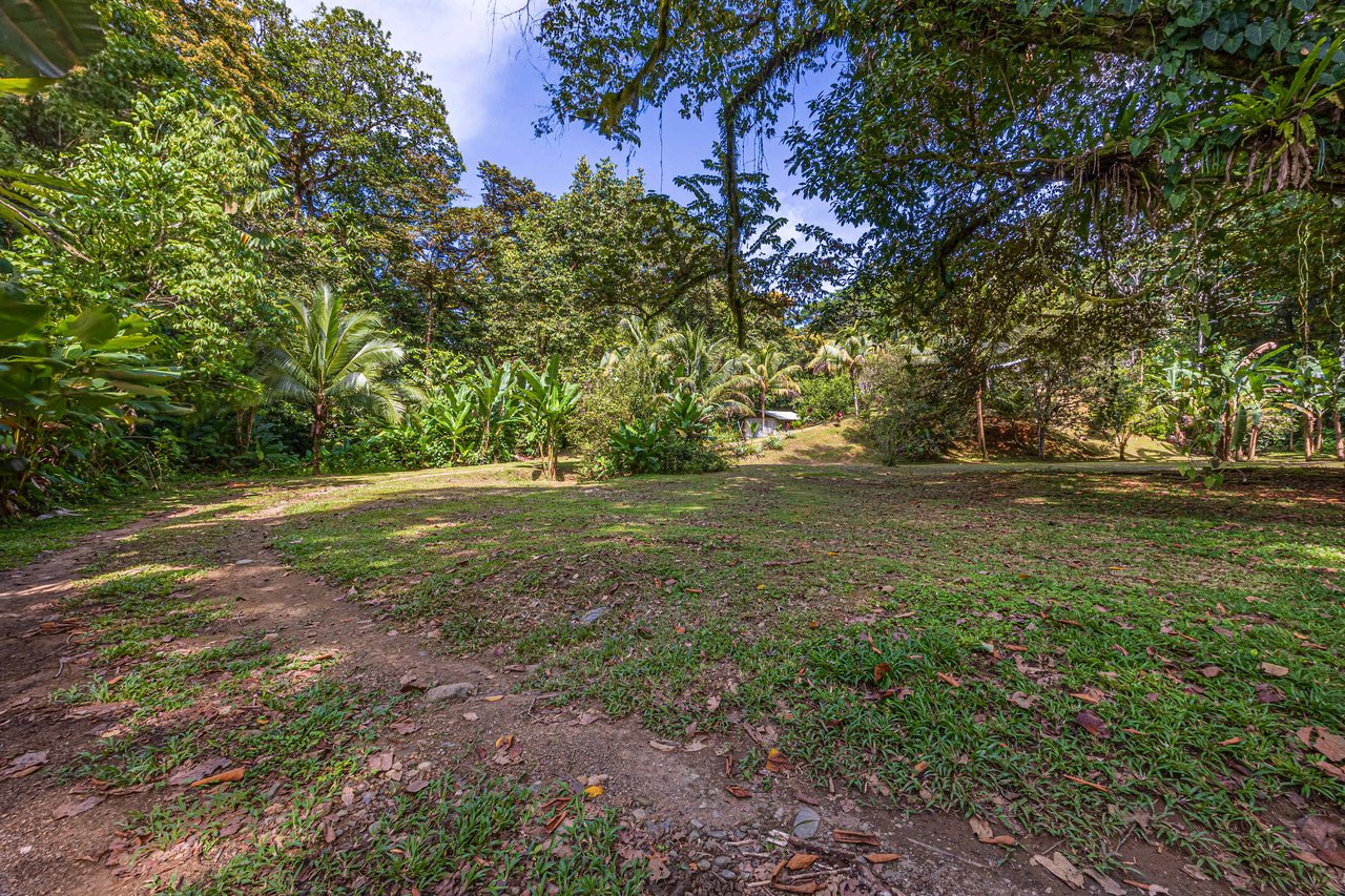 Tropical Hideaway – 7 Acres of Secluded Riverfront with a 3-Bedroom Home