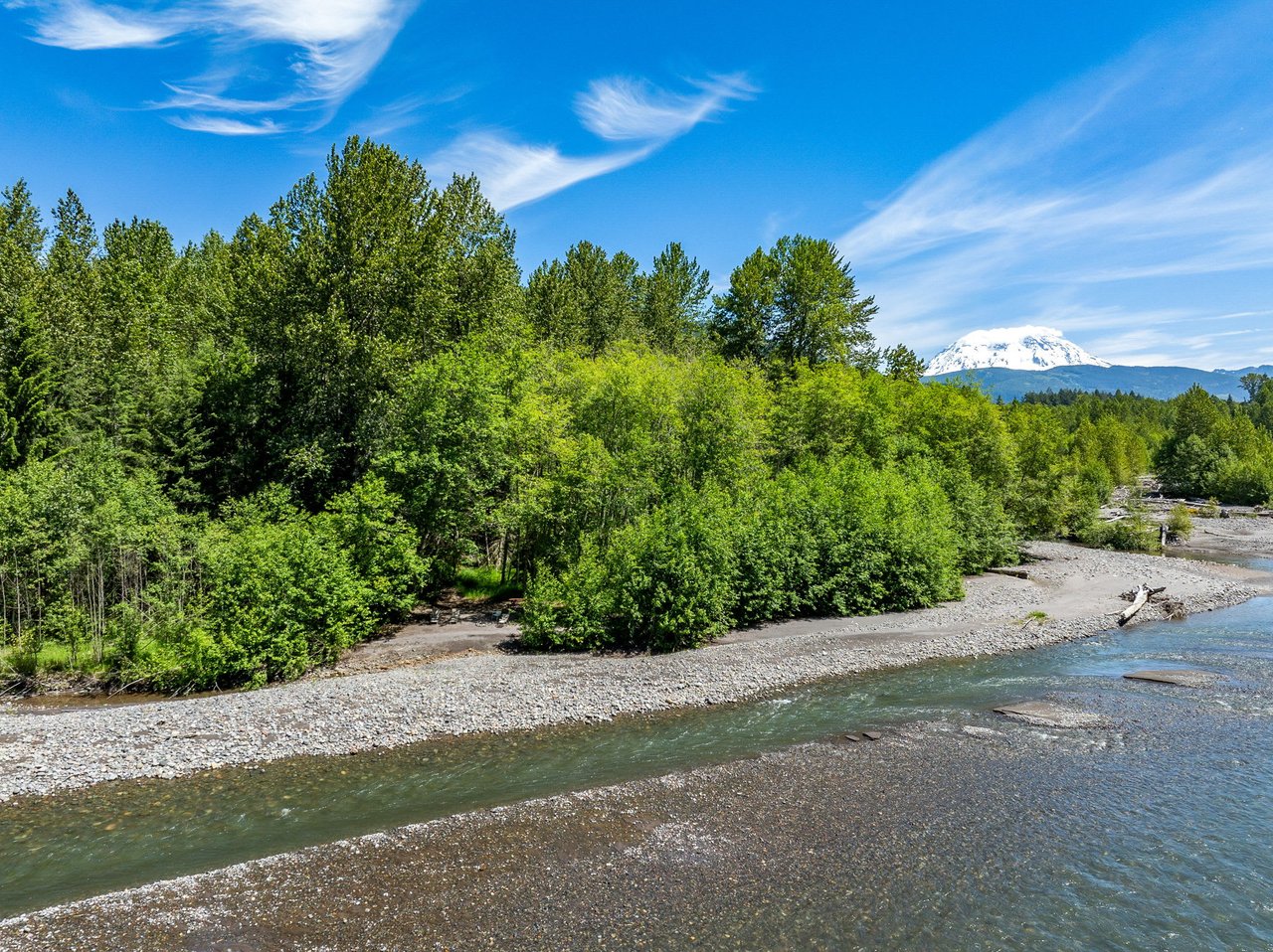 Mt. Rainier Paradise