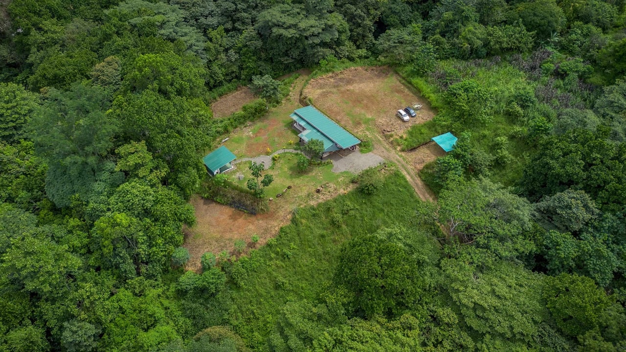 Casa Origen Hidden Away on 2.5 Acres of Land Bordered by a River!