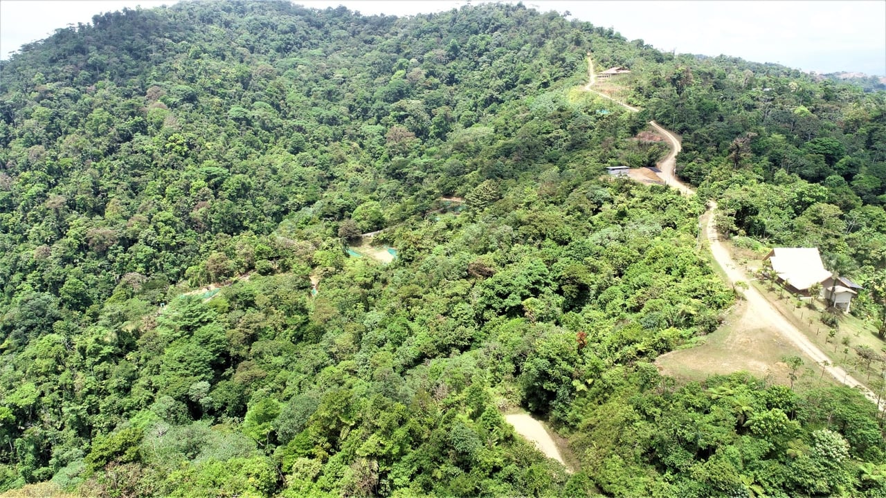 Large Development Farm, Ojochal, Puntarenas