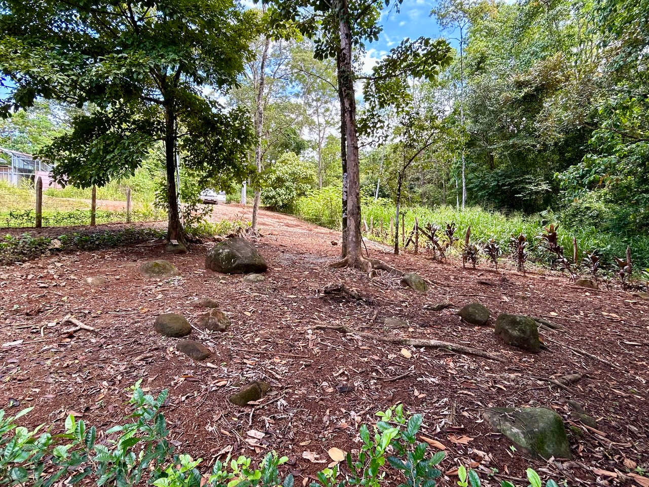 Jungle Side Lots in Uvita, Walking Distance to Amenities