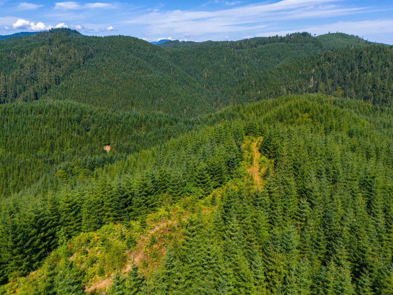 High Pass Tree Farm