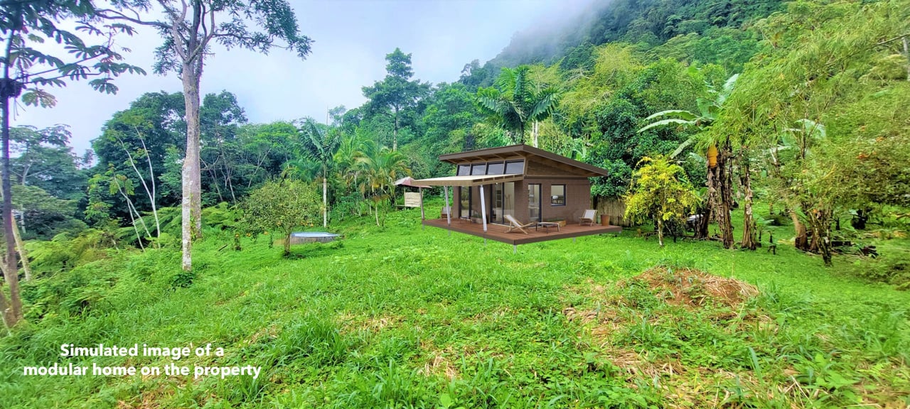 Off Grid Farm  at the top of the Uvita mountain range