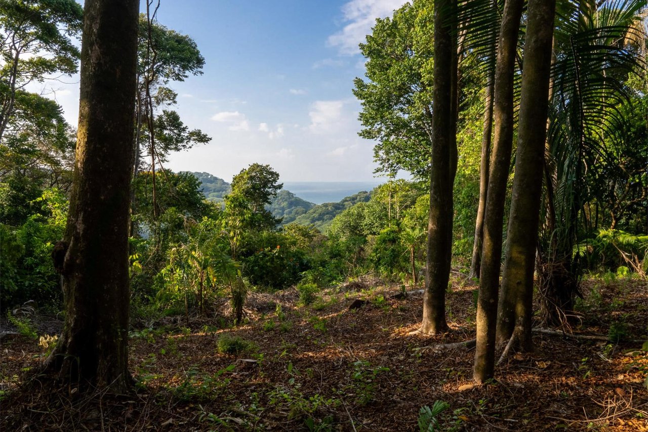Private Ocean View Development Lot, Dominical, Puntarenas