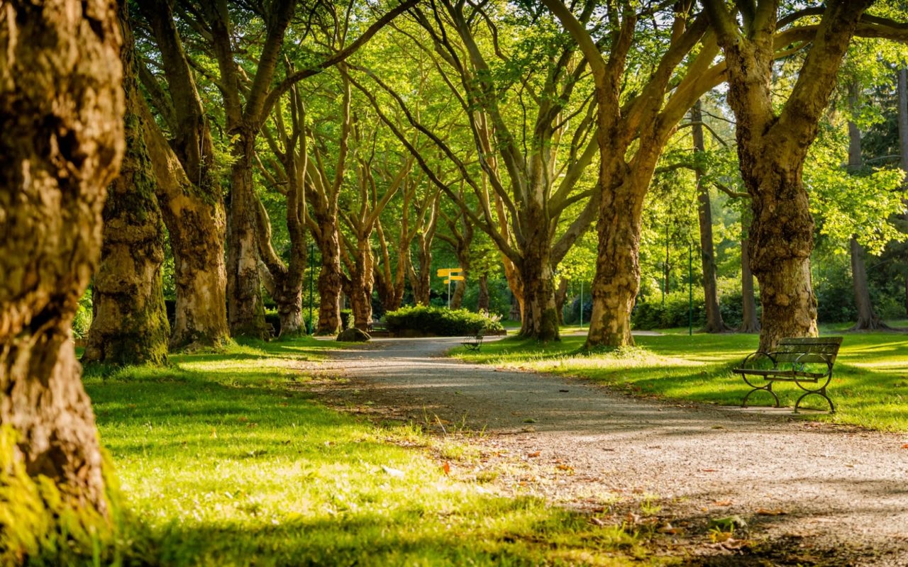 Alpine, NJ, Hidden Gems: Unveiling Exquisite Local Treasures