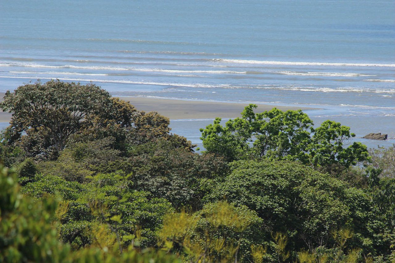 Ocean View Restaurant and Home, Ojochal, Puntarenas