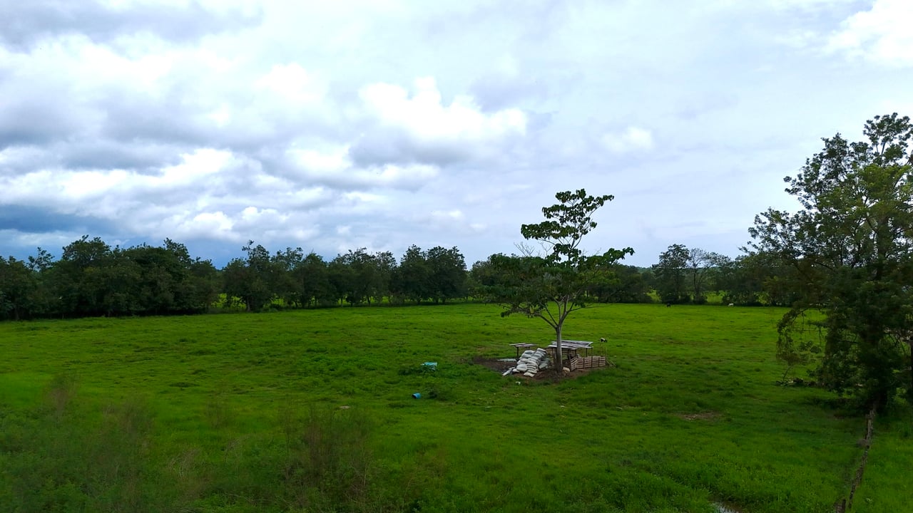 Over 12 Acres Of Land Near Ojochal, Public Road Frontage