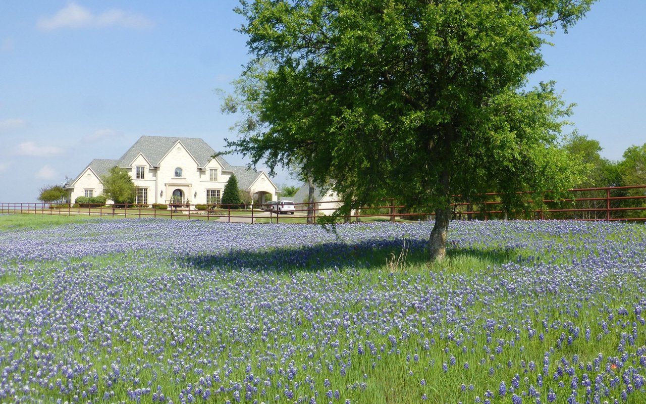 Goliad