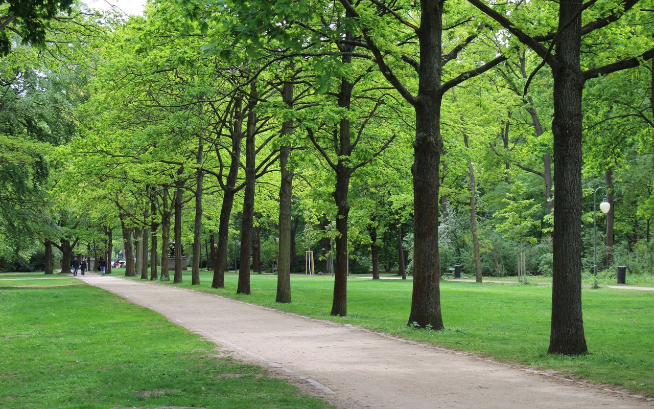 Cameron Park