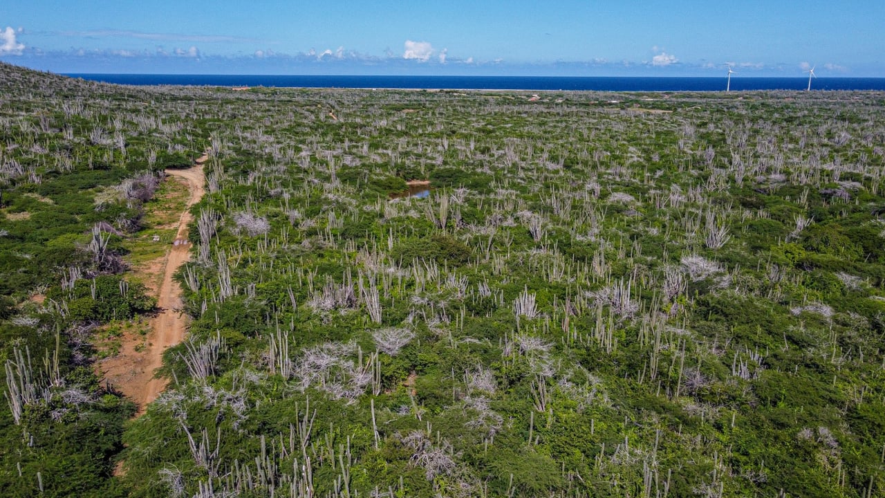 Property land Bonaire