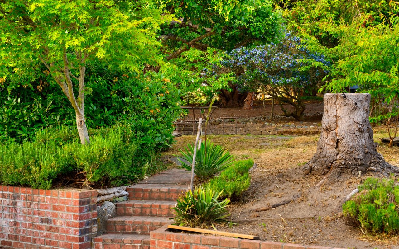 Showcasing Our Beautiful Islands on HGTV's Island Life