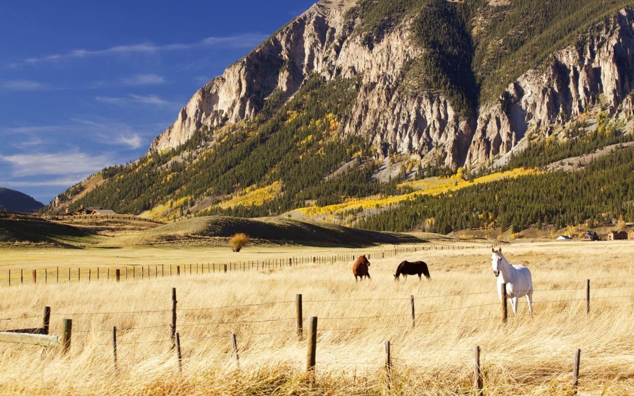 RURAL CRESTED BUTTE