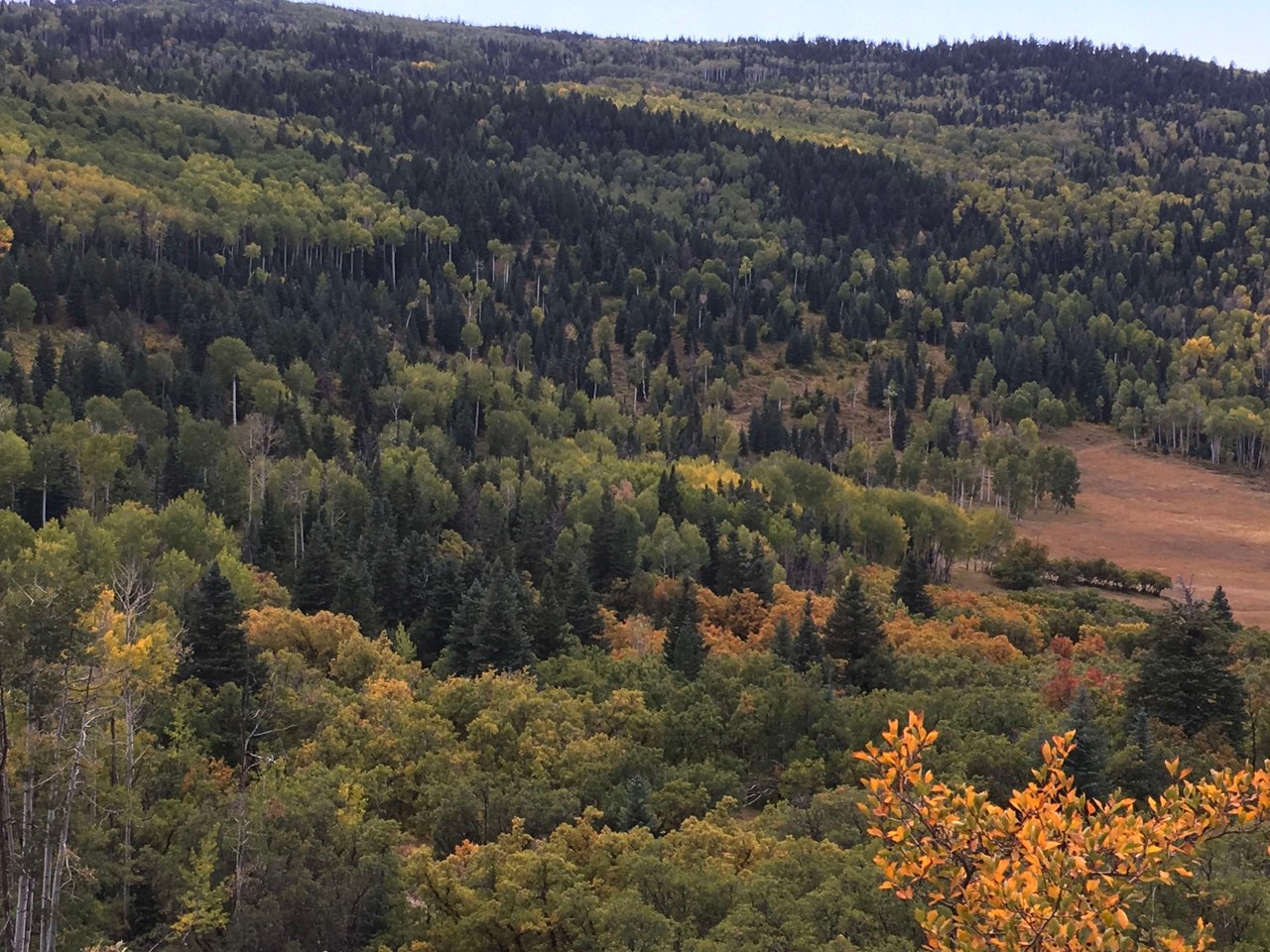 Southern Colorado Riverfront Mountain Ranch