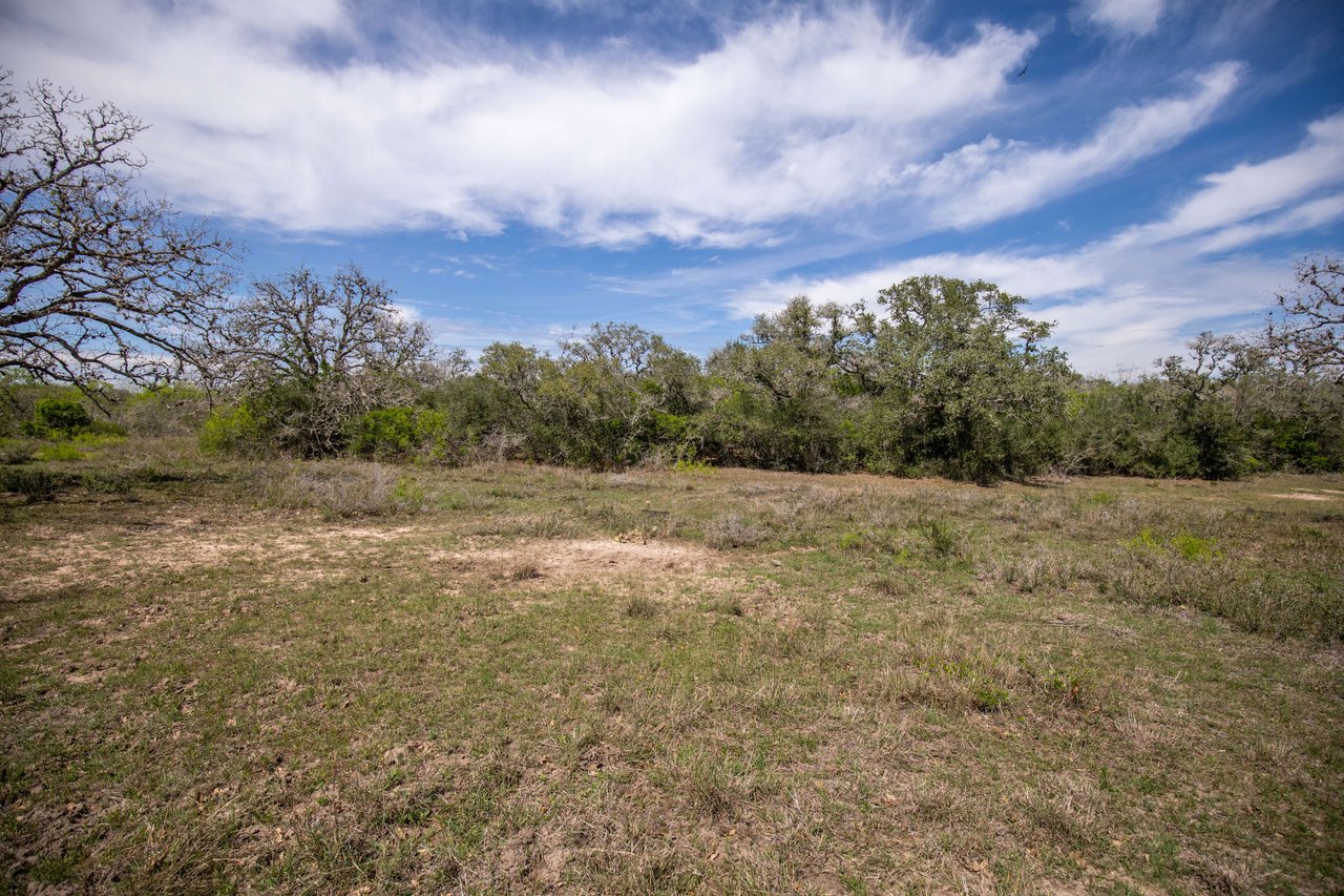 Weesatche 110 Acres