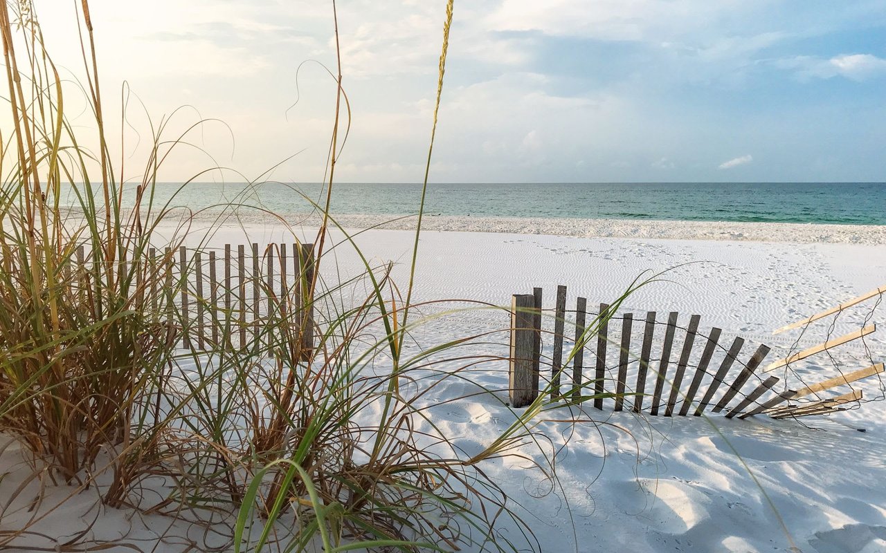 Stone Harbor Real Estate 
