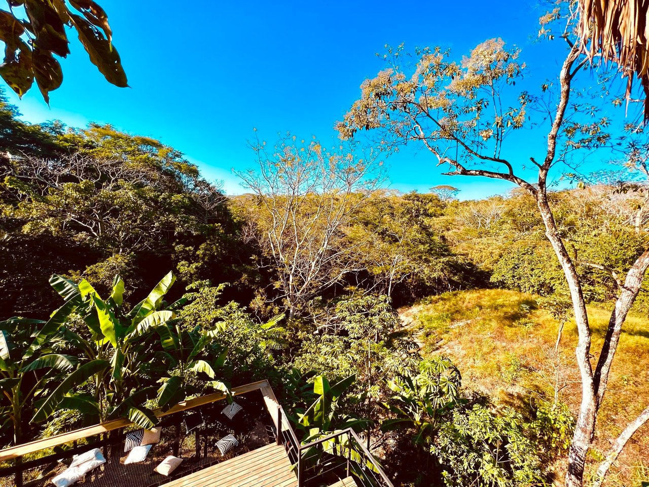 Boutique Jungle Retreat, Santa Teresa, Puntarenas