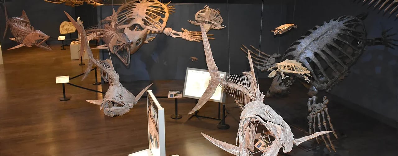 Journey into the Past: Exploring the Mesozoic Marvels at the Dinosaur Resource Center in Woodland Park