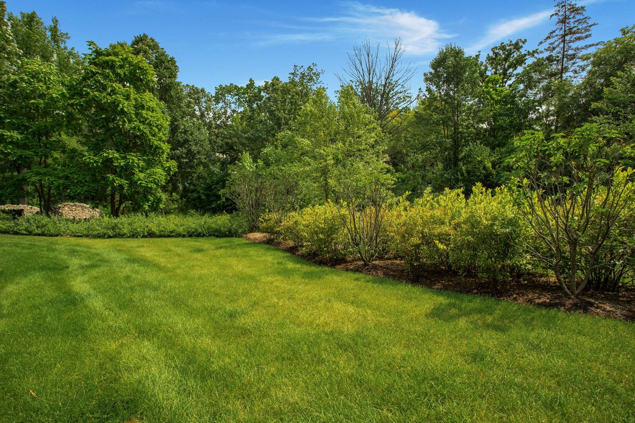 Pond Renovation