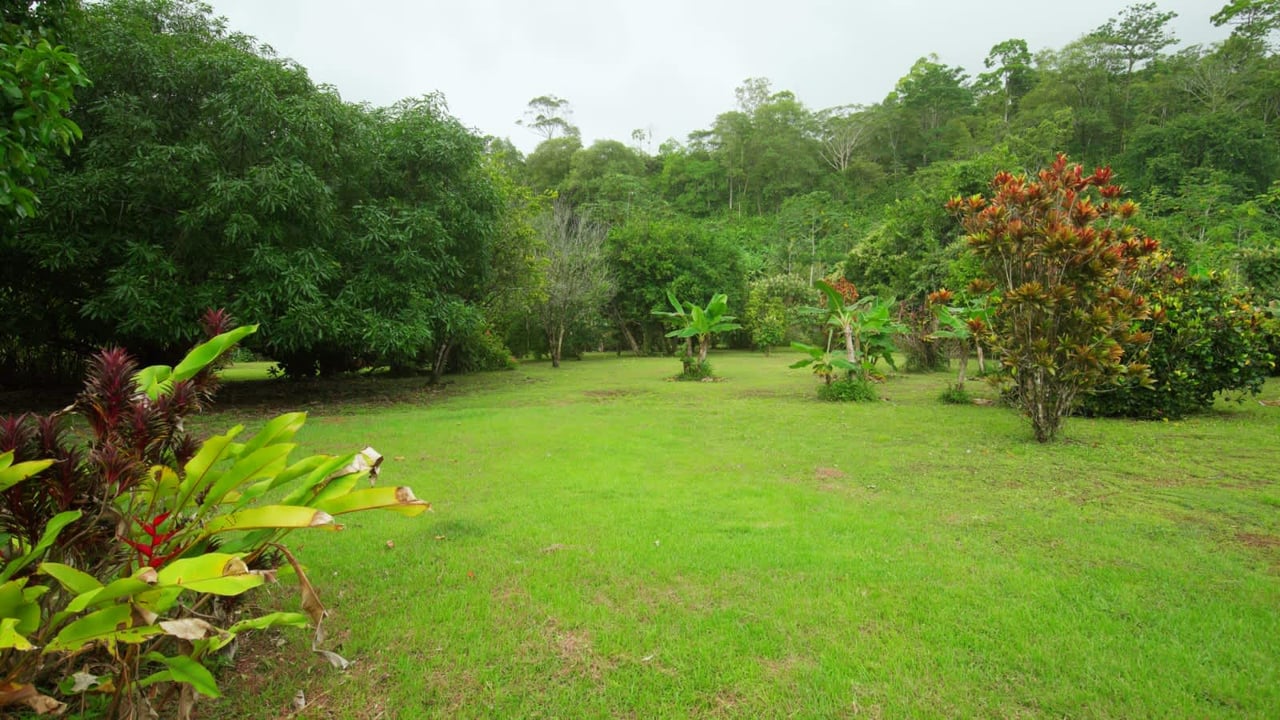  Eden Corcovado, Unique Beachfront from Paradise!