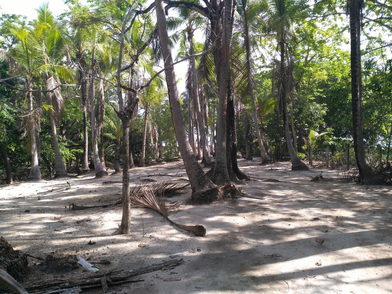 Private Secluded Beachfront Lot, Santa Teresa, Puntarenas