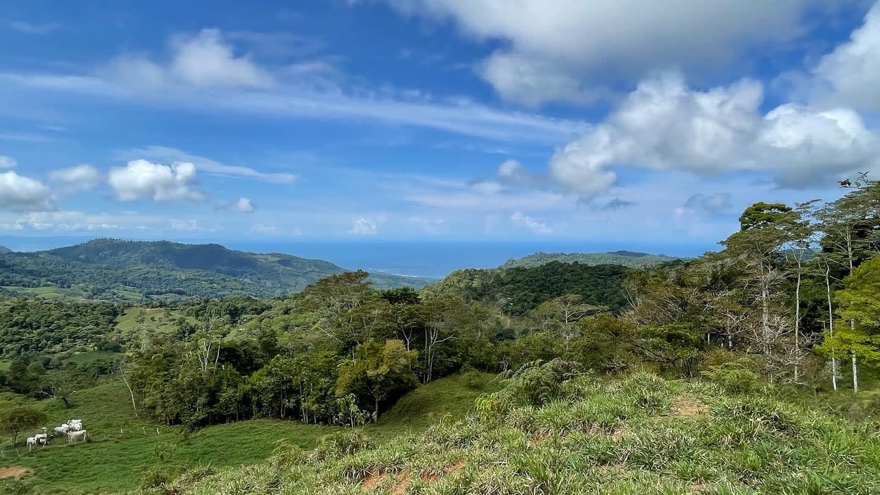 Whales Tail and Ocean View Farm, Over 39 acres