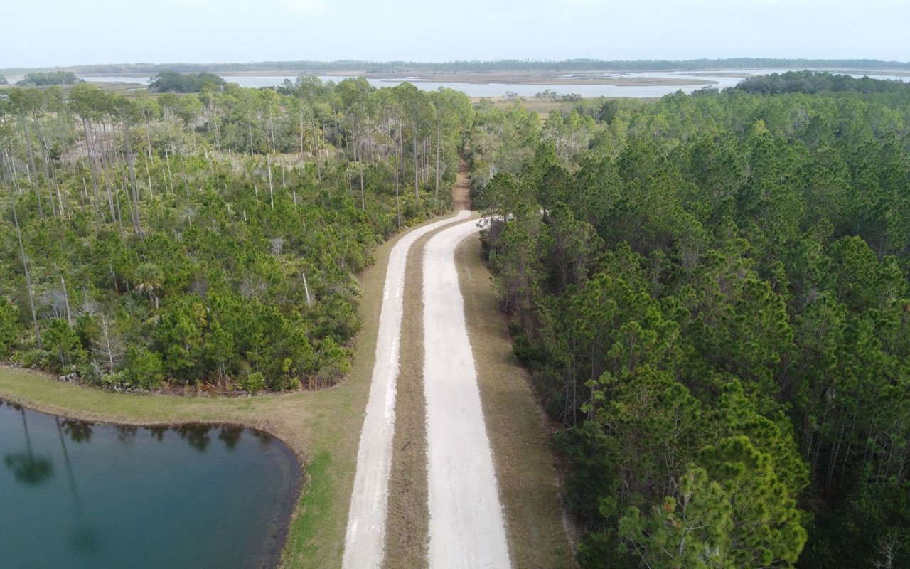 Nocatee