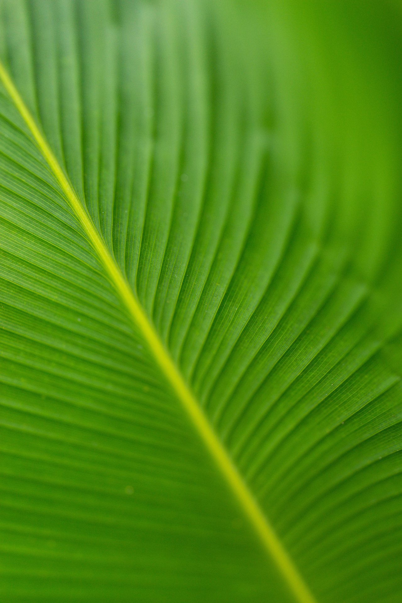 the GREEN sheet | Sept/Oct 2022