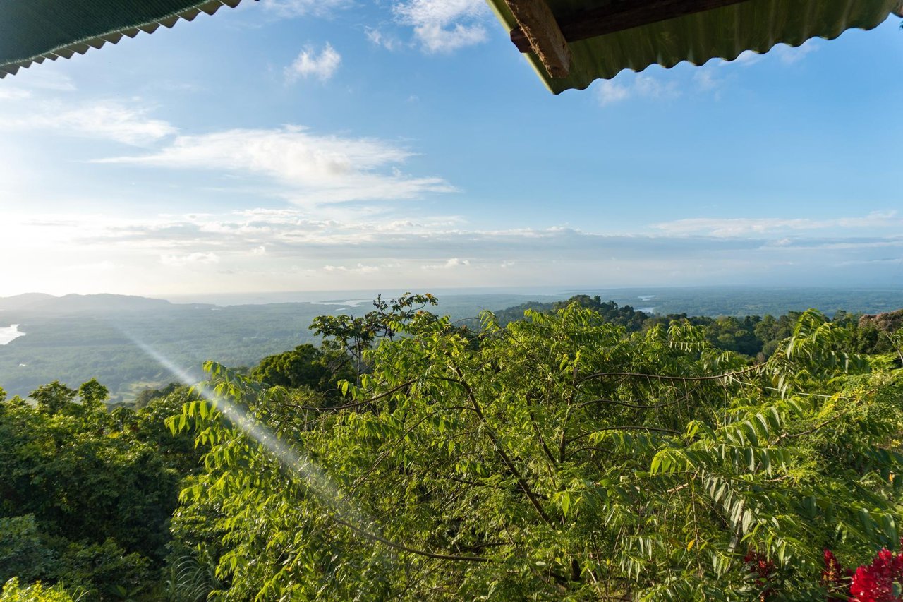 Waterfall Eco Development Land, Osa, Puntarenas
