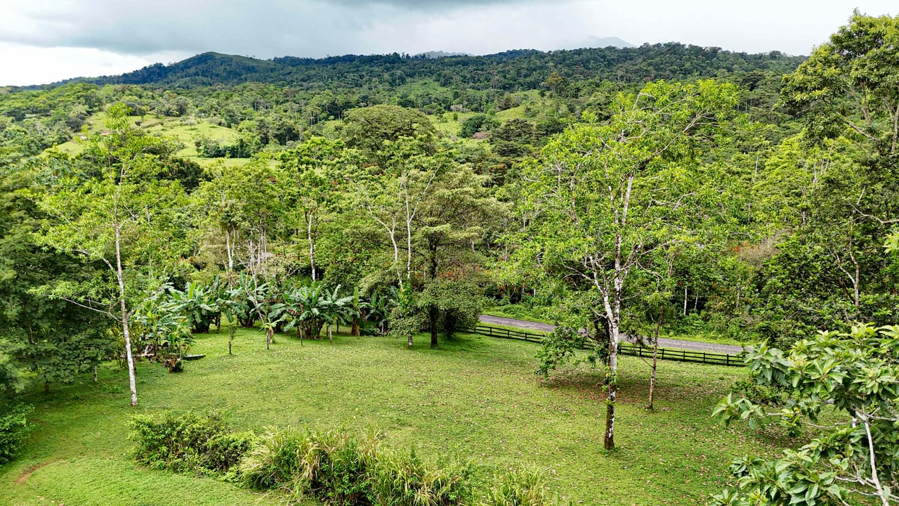 Finca Macadamia | 154-acre Rainforest Paradise with two Houses and Trails!