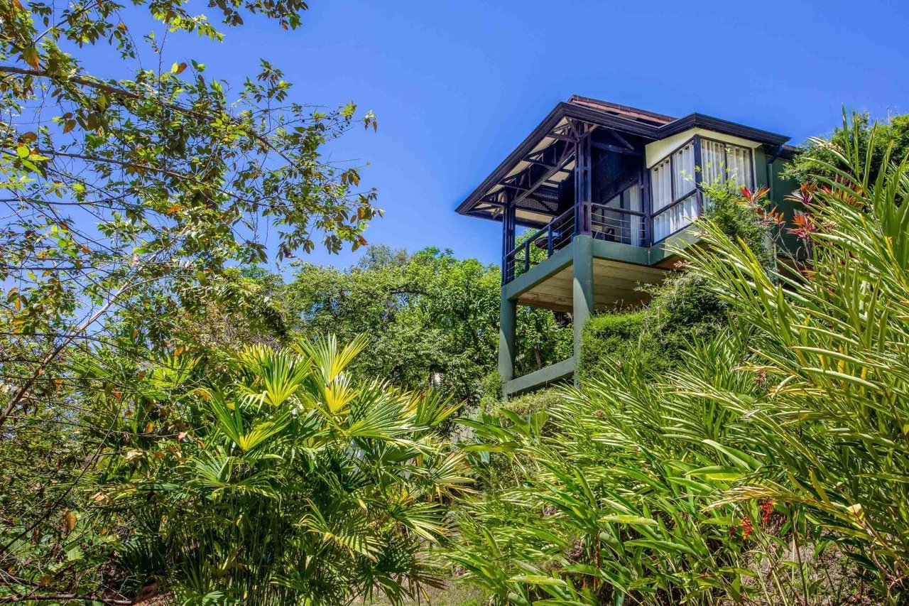 Profitable Boutique Hotel With Room for Expansion Tiki Villas Rainforest Lodge and Spa