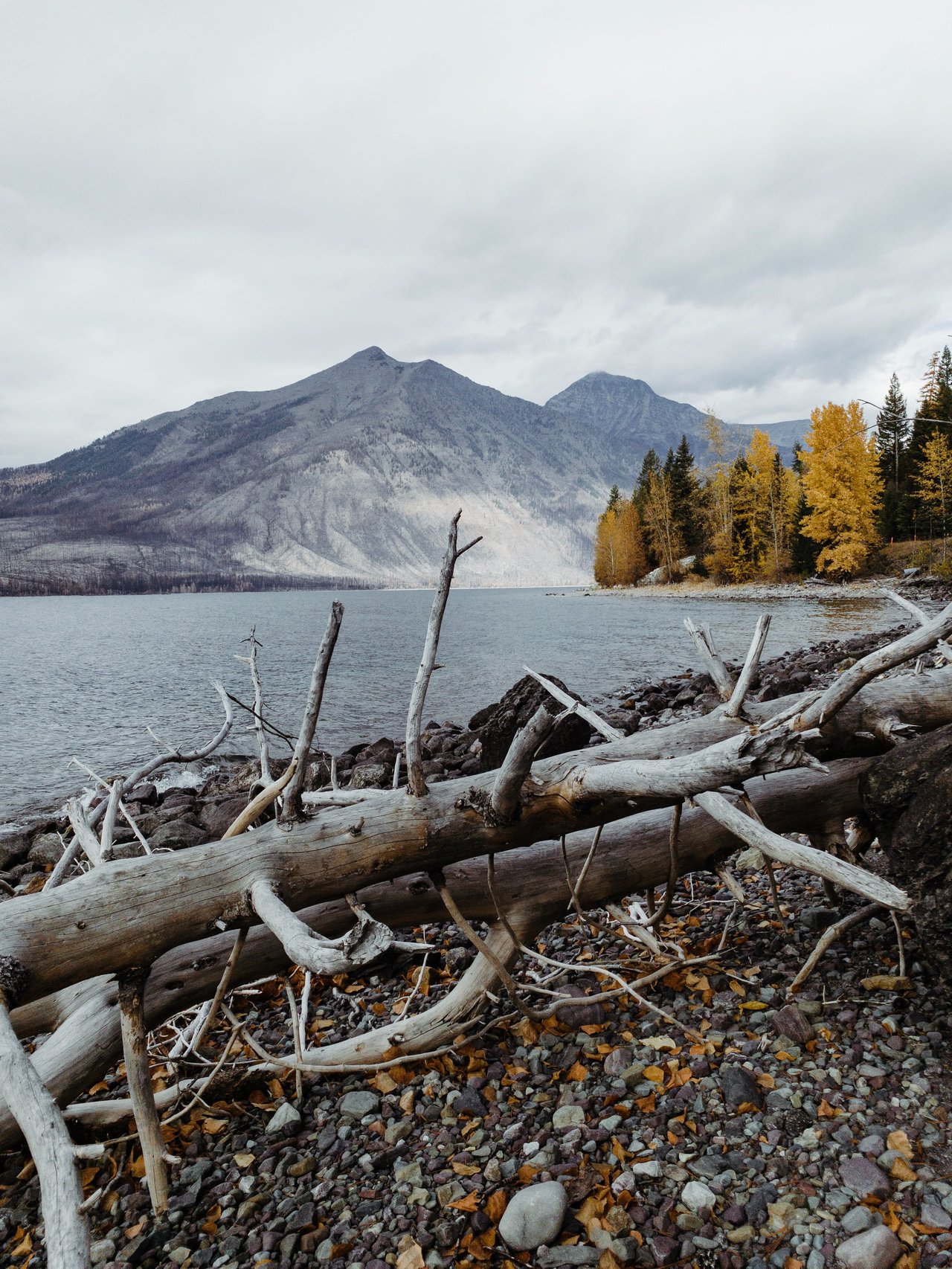 A large gray log on the shore of a lake in the mountains.