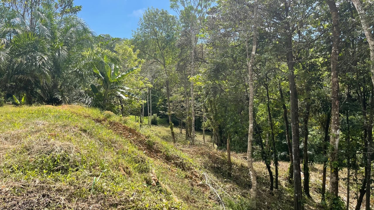 Dulce, Uvita Lot 34 Ocean View and Ready to Build! Gated Community!!