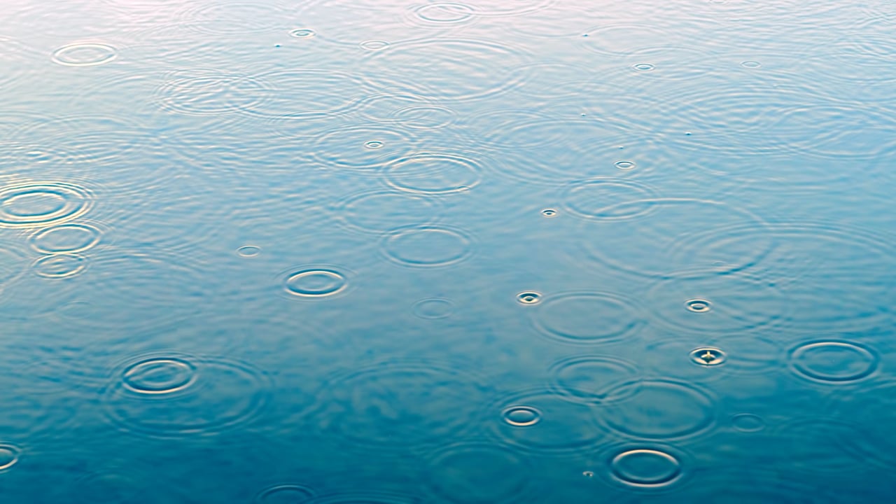 Rainy Day Fun: 5 Exciting Activities for Kids in the Bay Area