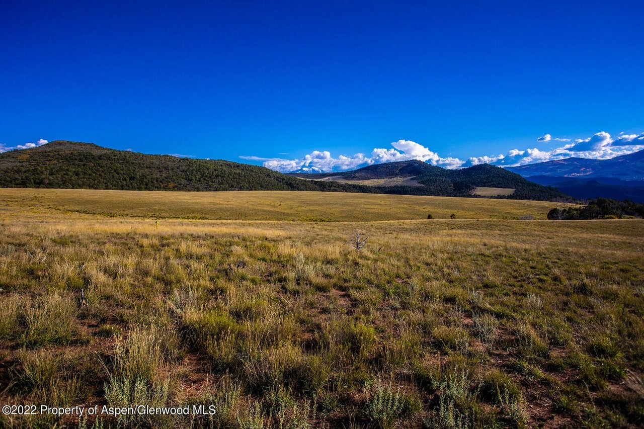 Lookout Mountain Ranch