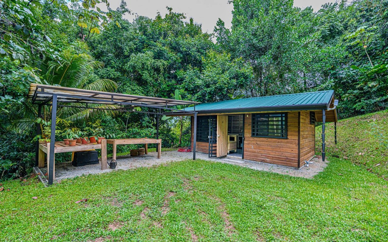 Off-Grid Regenerative Homestead, Perez Zeledon, San Jose